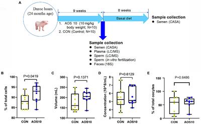 Alginate oligosaccharides increase boar semen quality by affecting gut microbiota and metabolites in blood and sperm